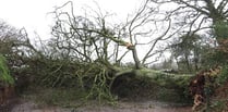 When storms caused disruption in the Crediton area