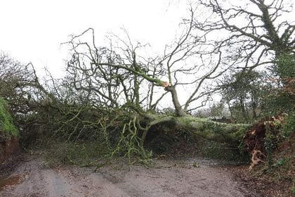 When storms caused disruption in the Crediton area