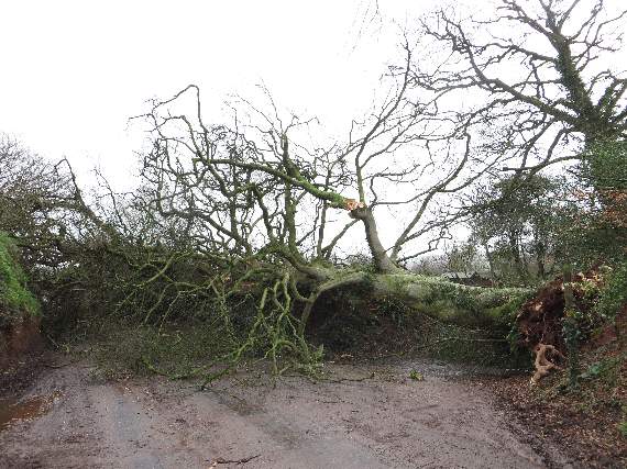 When storms caused disruption in the Crediton area