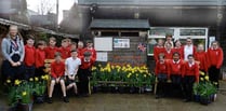 Children created a blaze of colour at Hayward's Primary School