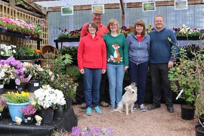 Planning officers recommend approval of Crediton Garden Centre expansion plan