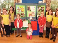 Brownies and Rainbows learned about girls and women in Zimbabwe