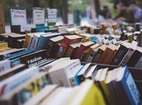 Book market with independent booksellers and literary arts groups from across the county