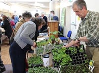 Swap seeds for free at Sustainable Crediton seed share