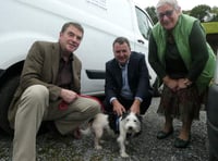 MP supports local RSPCA appeal to find more animals a loving home