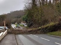 STORM EUNICE LATEST: Power cuts affect hundreds of people across Crediton area