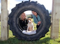 Pooches Paddock - a joy for Crediton and Mid Devon dogs and owners
