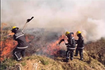 Firefighters battle wildfire in Dartmoor Forest
