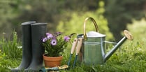 All your gardening needs and an Easter Trail at Bernaville Nurseries