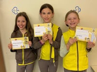 Gold Awards for 5 Crediton Brownies
