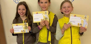 Gold Awards for 5 Crediton Brownies
