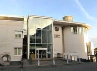 Van driver admits killing nurse in Witheridge crash
