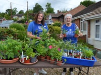 Plant sale in aid of Crediton Friends of FORCE
