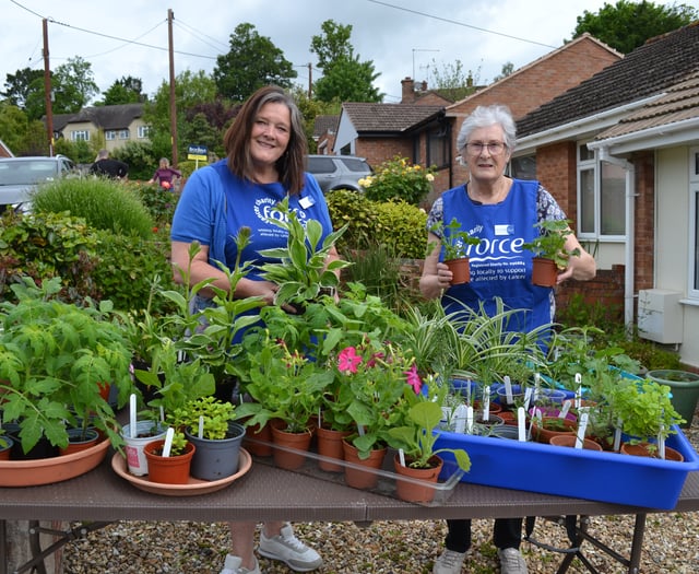 Plant sale in aid of Crediton Friends of FORCE
