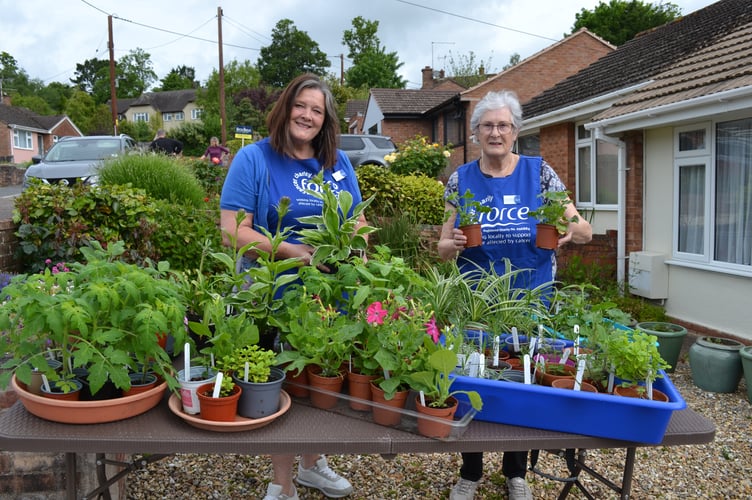 Di Pring and Ann Thomson at the Crediton Friends of FORCE cancer charity plant sale.  
