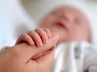 Fertility rate falls in Mid Devon