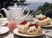 Book for a free cream tea at a Devon ‘Frawsy’ 
