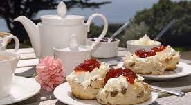 Book for a free cream tea at a Devon ‘Frawsy’ 
