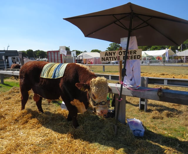 Okehampton Show is a scorcher!