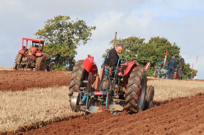 Competing in one of the classes at Mid Devon Ploughing Match.
