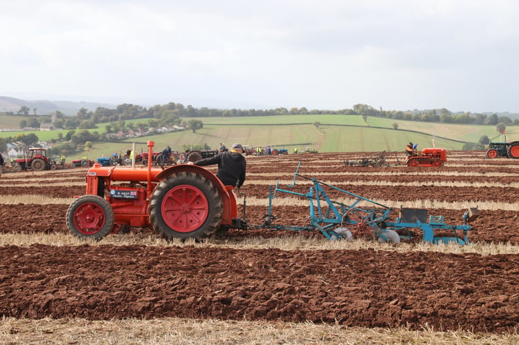 Competing in one of the classes at Mid Devon Ploughing Match.
