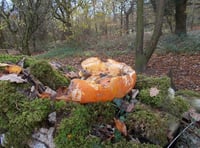 Urgent plea for people not to endanger wildlife by dumping pumpkins 
