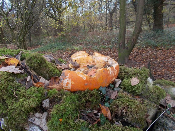 Urgent plea for people not to endanger wildlife by dumping pumpkins 
