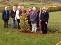 Colebrooke WI plant tree and hear about container planting
