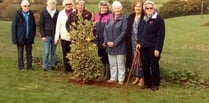 Colebrooke WI plant tree and hear about container planting
