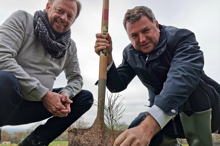 Central Devon MP Mel Stride, right, and Mid Devon Councillor Stuart Penny plant a Scots Pine in Copplestone as part of the Queen’s Green Canopy.
