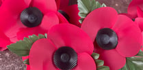 Letter: £14,000 plus raised for Poppy Appeal in Crediton and Hamlets