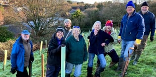 More trees to be planted by Sustainable Crediton during February half-term