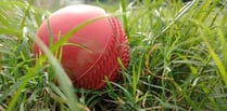 A scorer and an umpire are needed at Sandford Cricket Club