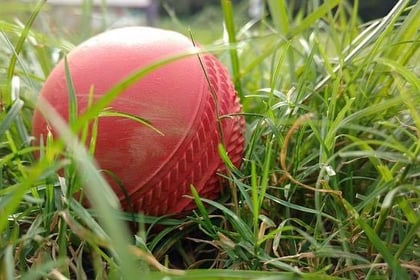 A scorer and an umpire are needed at Sandford Cricket Club
