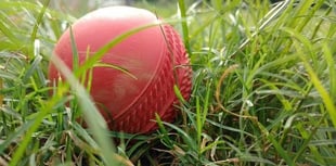 A scorer and an umpire are needed at Sandford Cricket Club