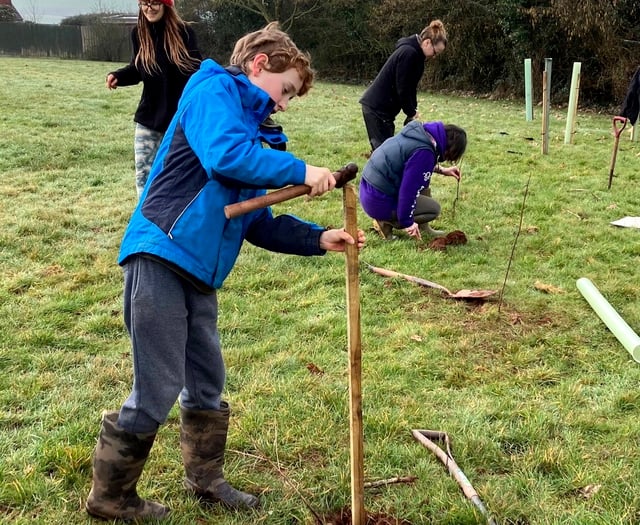 Tree planting was a positive community achievement