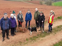 New members invited to join Crediton Walk and Talk
