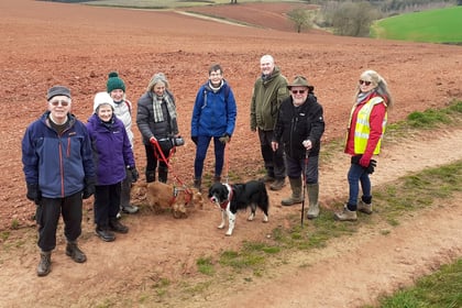 New members invited to join Crediton Walk and Talk
