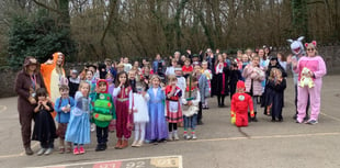 Colourful costumes at Yeoford School for World Book Day
