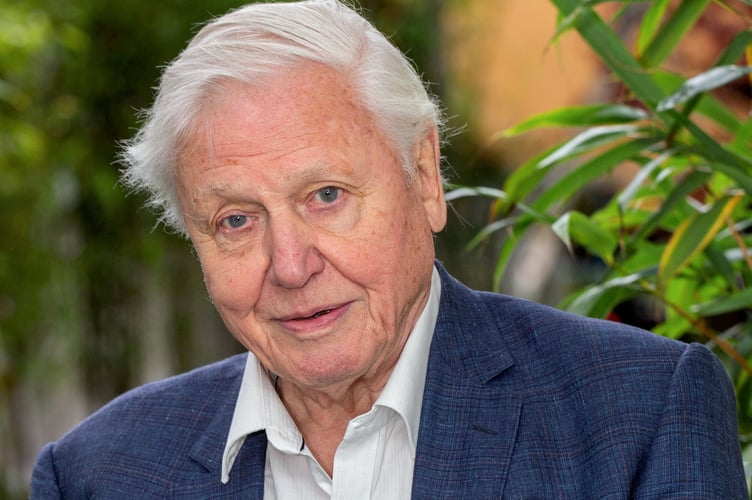 FILE PICTURE - David Attenborough.  The top things to come out of Britain have been named as fish and chips, roast dinners â and David Attenborough.  See SWNS story SWBRtrade.  A survey of 2,000 adults found the full English breakfast, the internet and Cadbury chocolate also finished high in the top 50 best British exports, alongside Cheddar cheese and William Shakespeare.  The Beatles and Queen completed the top 10.  Several traditional British foods made their way into the top 50, with the sandwich, afternoon tea, crumpets and Marmite all ranking highly.  Classic British TV shows Top Gear, Downton Abbey and Doctor Who were also popular, as were public figures such as the Royal Family, Sir Stephen Hawking and David Bowie.  A host of British businesses also appeared in the list, including Marks & Spencer (M&S), Yorkshire Tea and Dyson, alongside car brands MINI, Rolls-Royce and Aston Martin.  It also emerged that 82 per cent of Brits, polled by Santander UK, think some of the best things in the world have originated in Britain. 