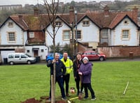 Tree planted at People’s Park, Crediton 