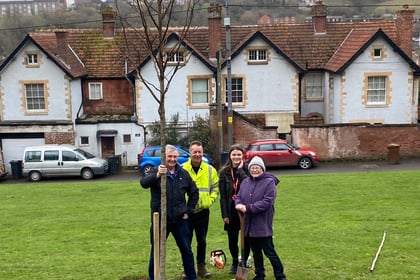 Tree planted at People’s Park, Crediton 