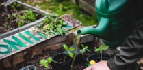 Spending time in the garden benefits mental health
