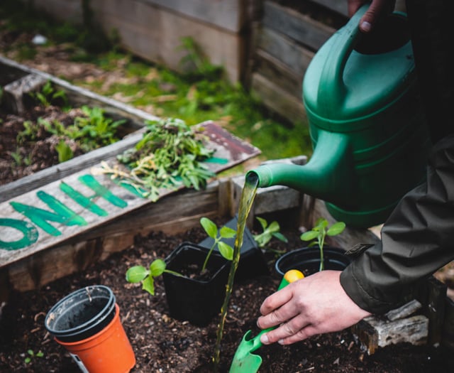 Spending time in the garden benefits mental health
