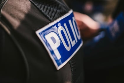 Police Officer dismissed over racist language
