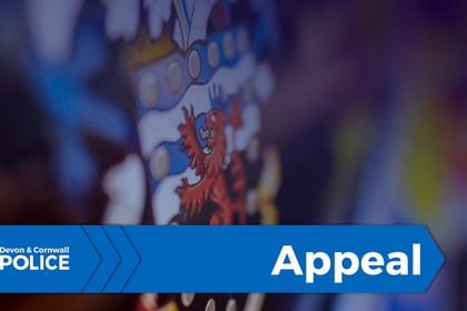 Police witness appeal after high value burglary in Exeter
