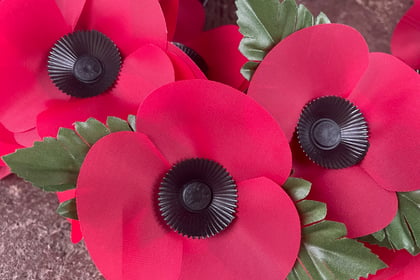 Volunteer collectors wanted by Crediton RBL for the Poppy Appeal
