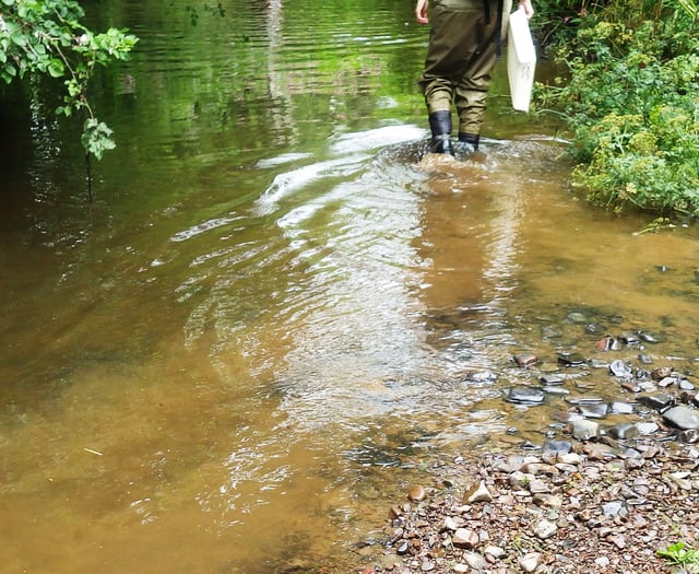 Less than 1 in 5 Mid Devon rivers rated ‘good’
