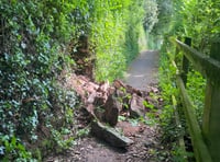 UPDATED: Partial wall collapse at Penton Lane in Crediton
