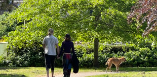 Dog wardens urged to be more vigilant with offenders in Crediton park
